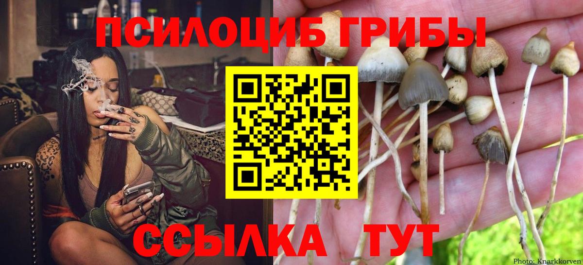 Коряжма  Галлюциногенные грибы ЛСД  Псилоцибиновые грибы Psilocybe  Вход с VPN 